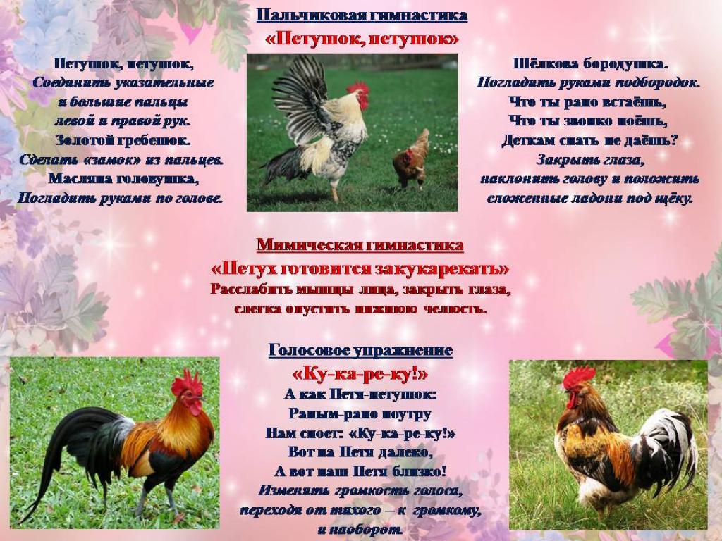 Развитие речи петушок петушок. Паоьсиковая гимнпстика петушру. Пальчиковая гимнастика петушок. Пальчиковая гимнастика для детей петушок. Пальчиковая гимнастика петух.
